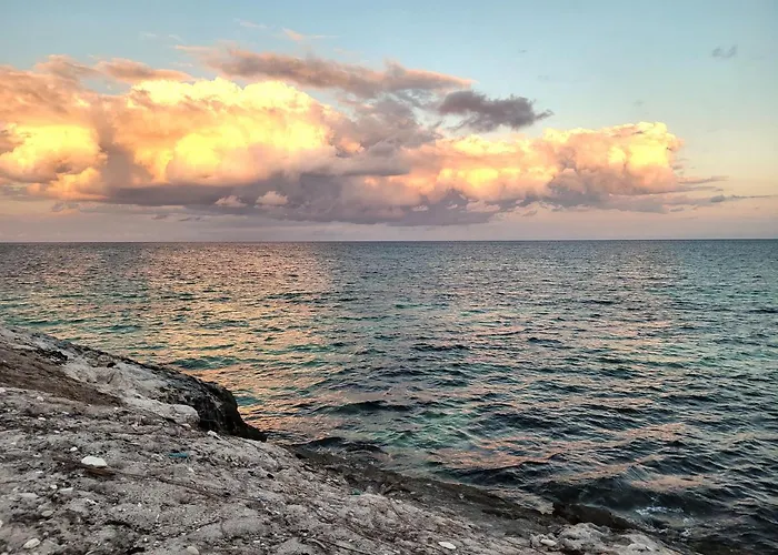 The Secret Garden Tulum