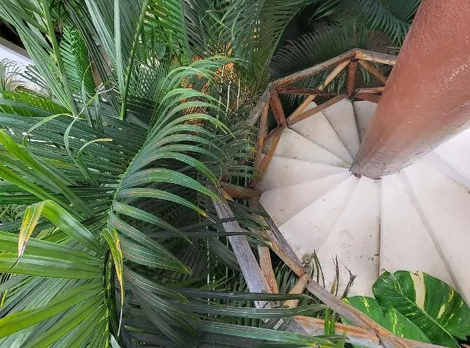 The Secret Garden Tulum