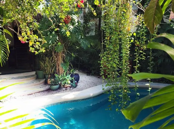 The Secret Garden Apartment *