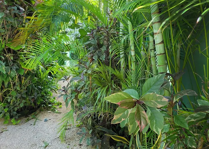 The Secret Garden Apartment Tulum