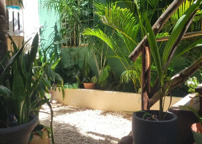 Apartment The Secret Garden